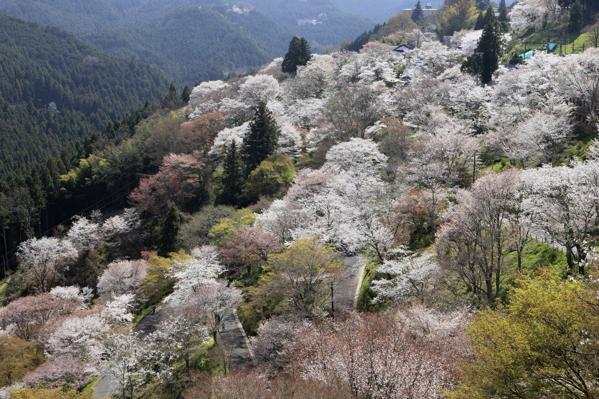 吉野町 加藤旅馆酒店 外观 照片